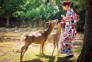 日本奈良公園